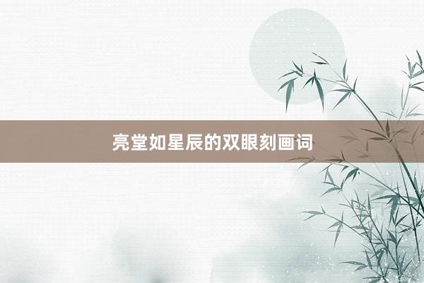亮堂如星辰的双眼刻画词