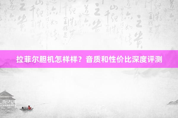 拉菲尔胆机怎样样？音质和性价比深度评测