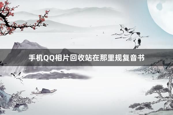 手机QQ相片回收站在那里规复音书