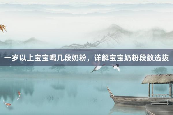 一岁以上宝宝喝几段奶粉，详解宝宝奶粉段数选拔